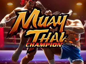 Muay Thai Champion
